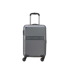 چمدان مردانه / زنانه دلسی