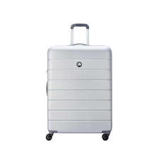 چمدان مردانه / زنانه دلسی