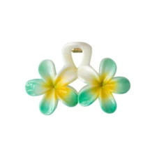 اکسسوری مو زنانه وینکلر