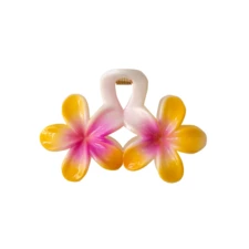 اکسسوری مو زنانه وینکلر