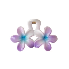 اکسسوری مو زنانه وینکلر