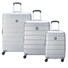 چمدان مردانه / زنانه دلسی