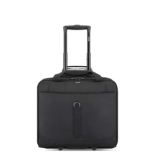 چمدان مردانه / زنانه دلسی